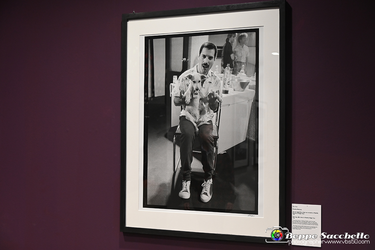 VBS_1789 - Mostra Peter Hince - Queen Experience.jpg